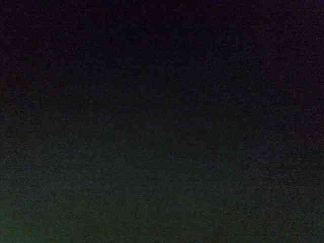 Sweet-camomile webcam