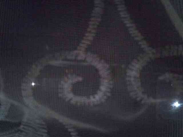 Sweet-camomile Sweet-camomile