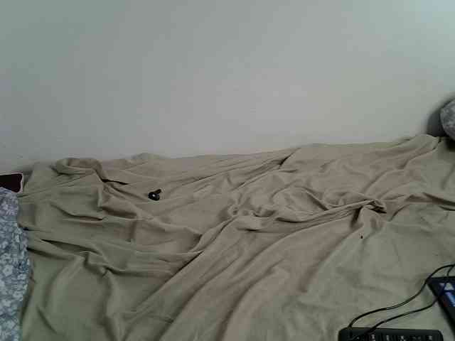 Sweet-camomile webcam