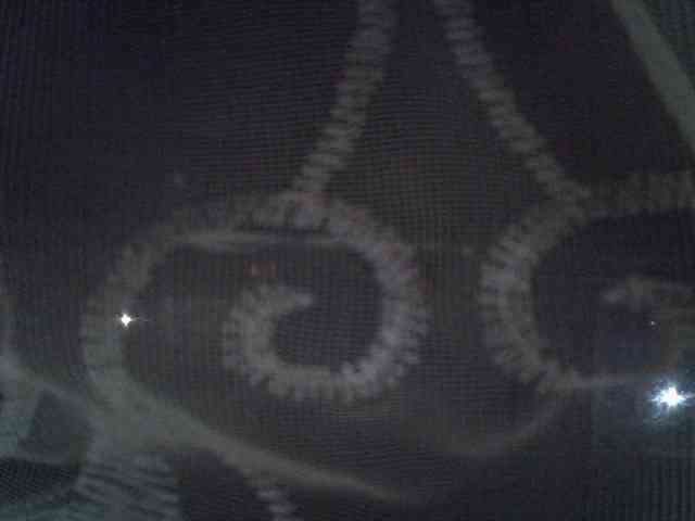 Sweet-camomile Sweet-camomile