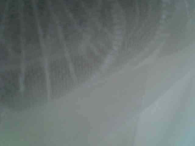 Sweet-camomile Sweet-camomile