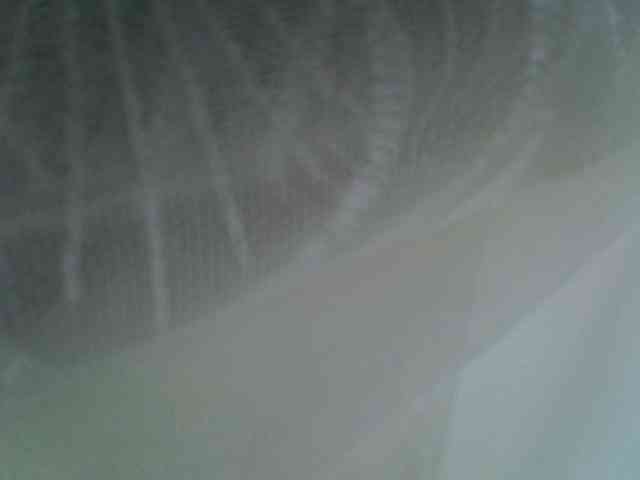 Sweet-camomile webcam