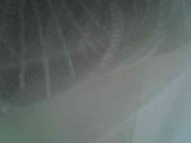 Sweet-camomile webcam