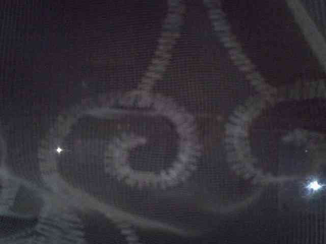 Sweet-camomile webcam