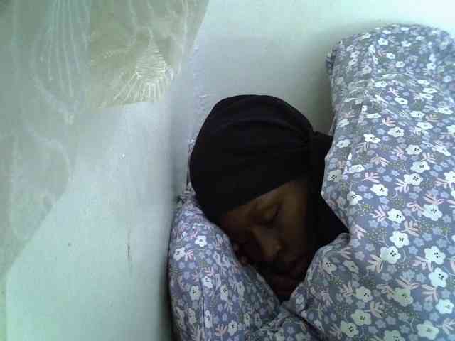 Sweet-camomile webcam