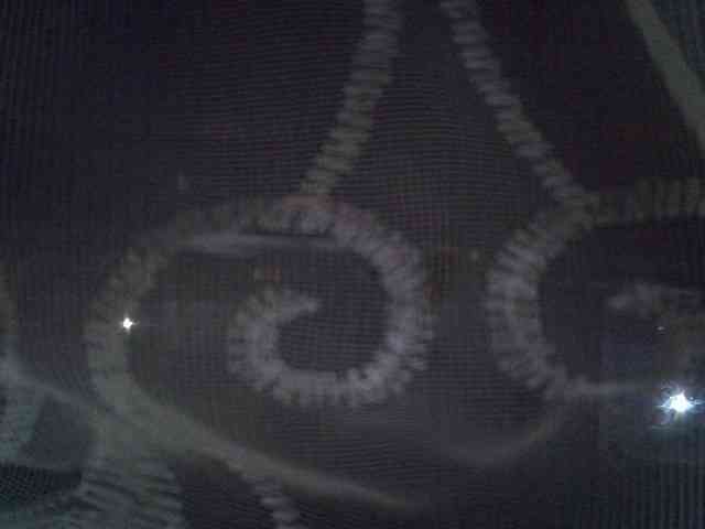 Sweet-camomile webcam