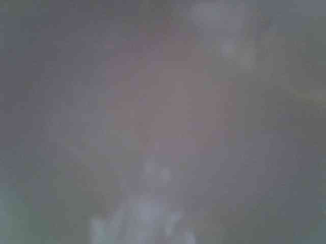 Sweet-camomile webcam