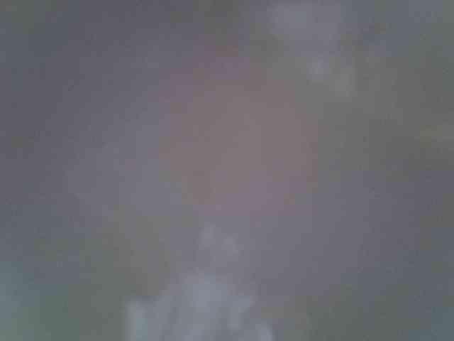 Sweet-camomile webcam