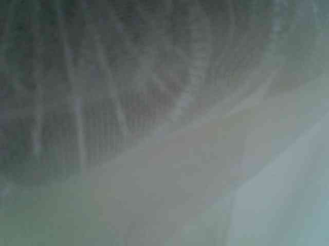 Sweet-camomile webcam