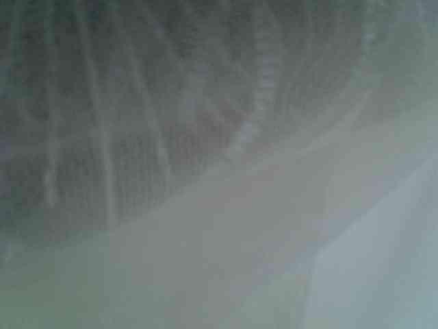 Sweet-camomile webcam