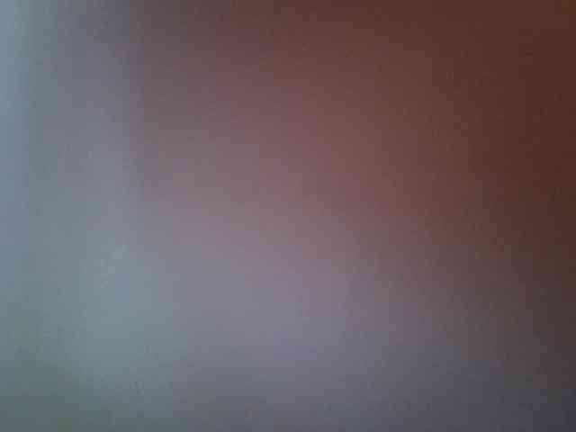 Sweet-camomile webcam