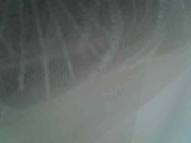 Sweet-camomile webcam