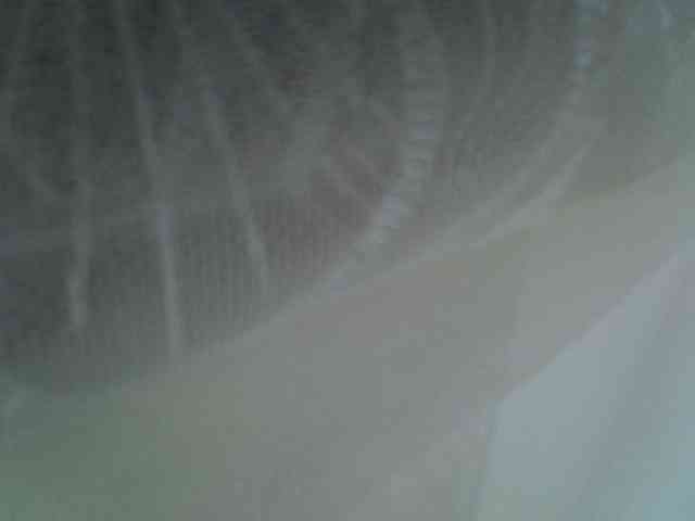 Sweet-camomile webcam