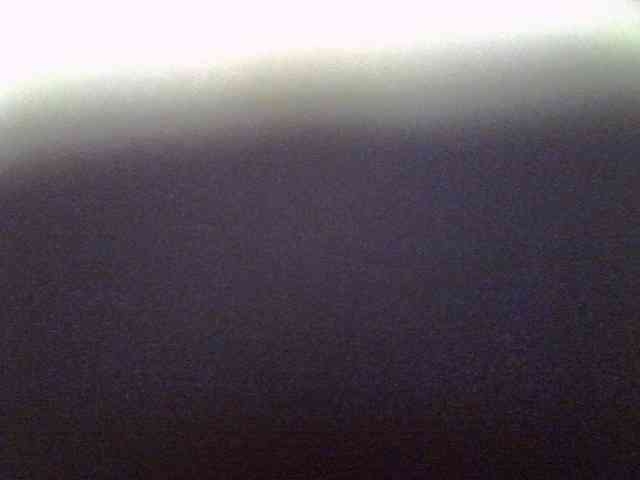 Sweet-camomile webcam