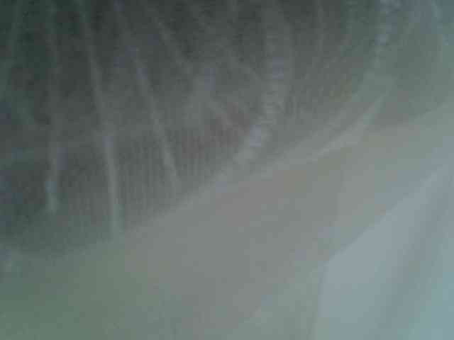 Sweet-camomile webcam