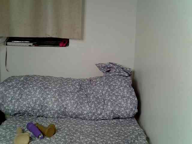 Sweet-camomile webcam