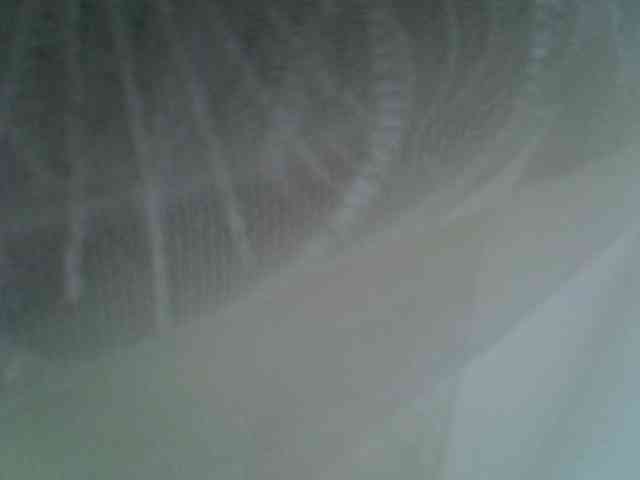 Sweet-camomile webcam