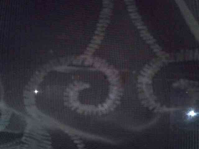 Sweet-camomile webcam