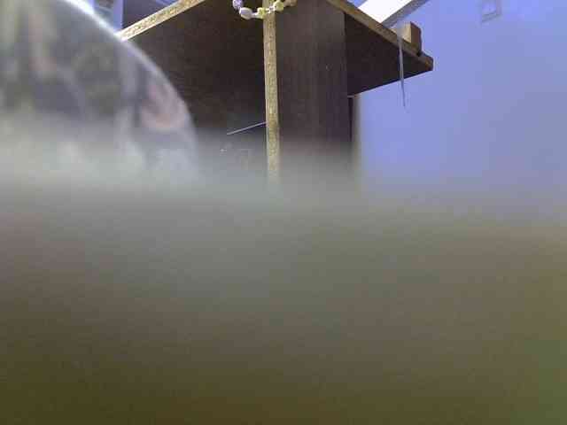 Sweet-camomile webcam