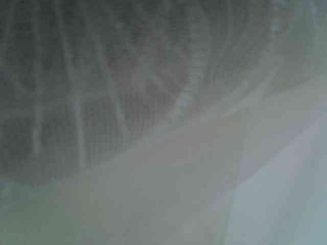 Sweet-camomile webcam