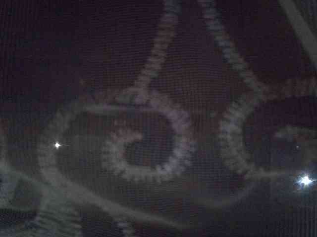 Sweet-camomile webcam