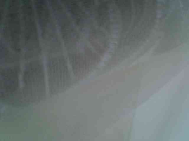 Sweet-camomile webcam