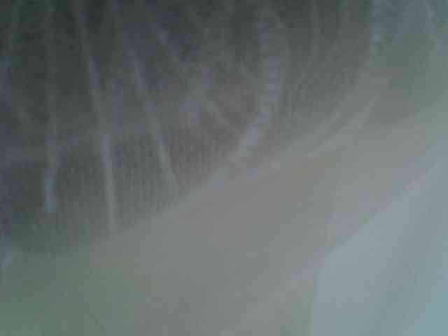 Sweet-camomile webcam