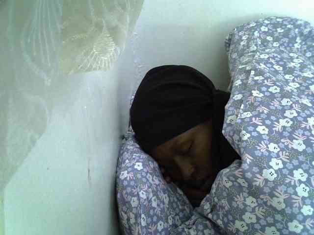 Sweet-camomile Sweet-camomile