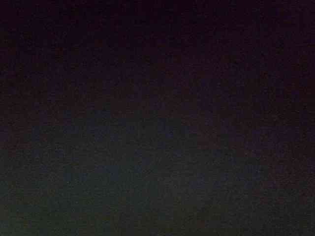 Sweet-camomile webcam