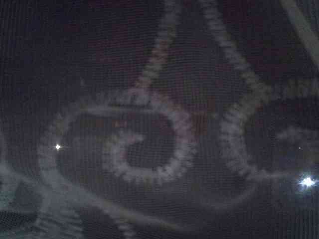 Sweet-camomile webcam