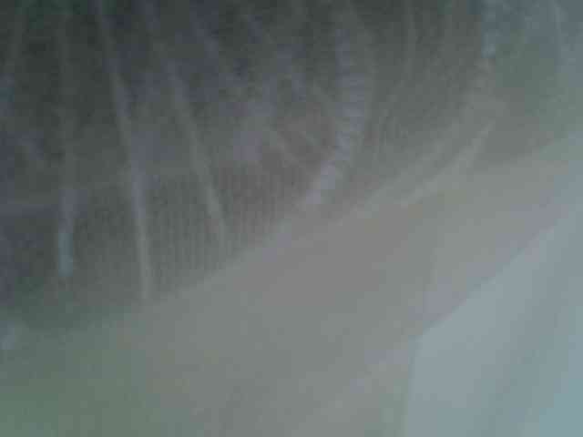 Sweet-camomile webcam