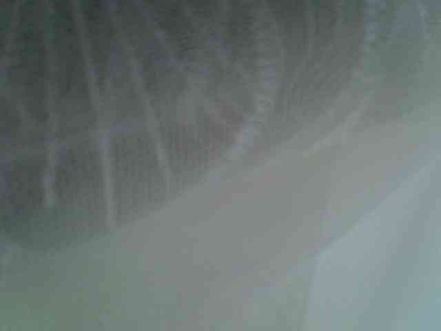 Sweet-camomile Sweet-camomile