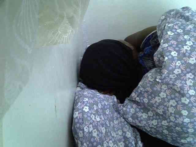 Sweet-camomile webcam