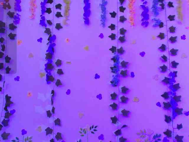 Ariana-Castillo Live Webcam on BongaCams