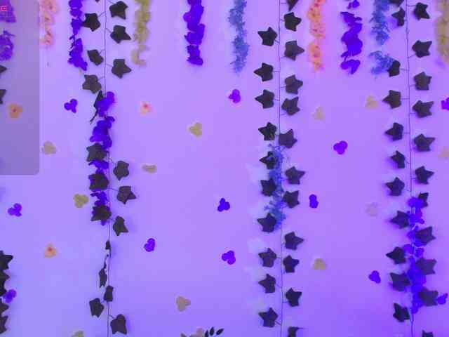 Ariana-Castillo webcam