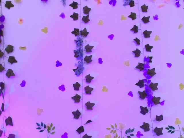 Ariana-Castillo webcam