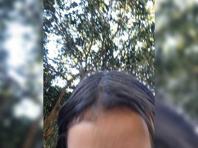 Preview of esmeralda-2petit