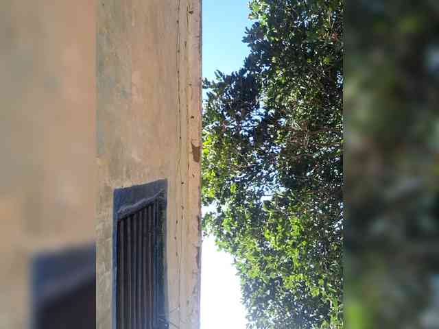 Esmeralda-2petit webcam