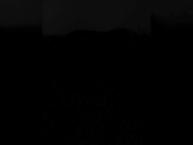 Profile and Statistics for Vredina-2026 on BongaCams