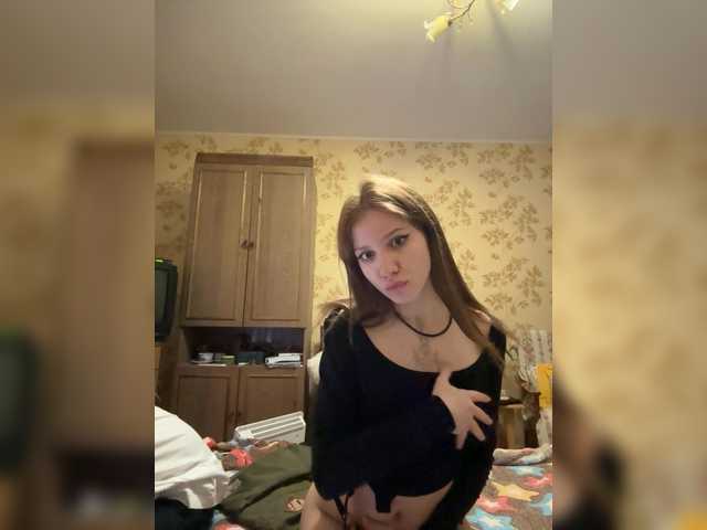 модель Shnene1