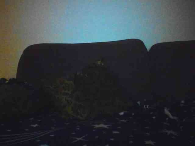 TheImperfect TheImperfect