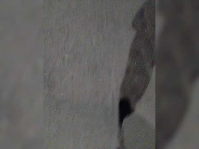 MySky23 from BongaCams is Freechat