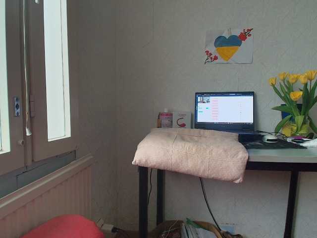 MySky23's BongaCams show and profile