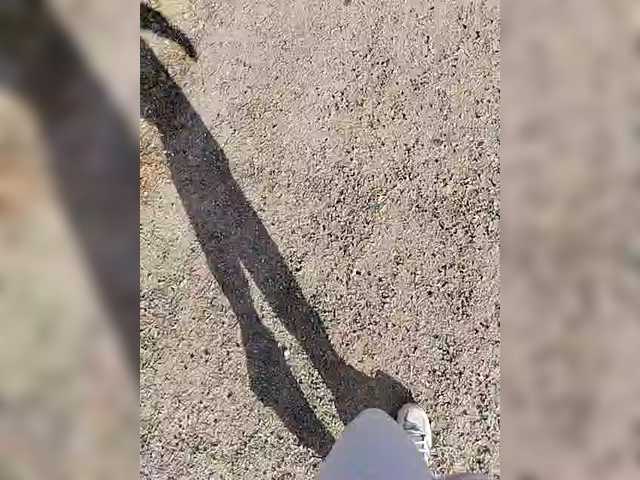 MySky23's BongaCams show and profile