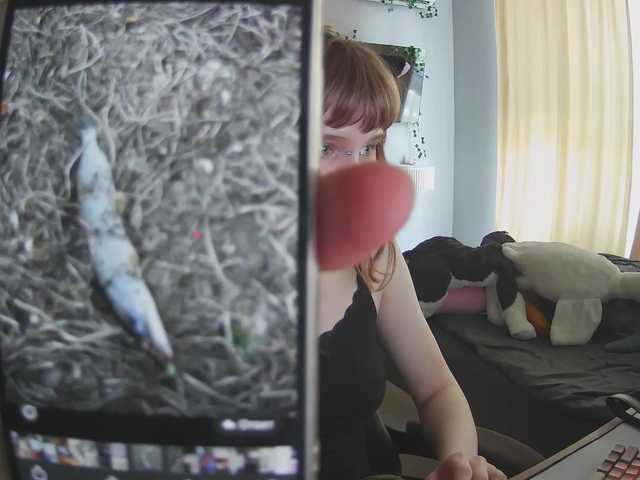 rinichkaa from BongaCams is Freechat