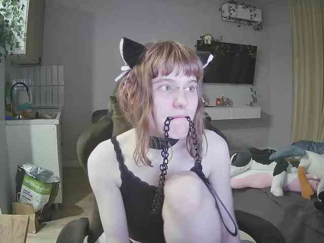 rinichkaa webcam
