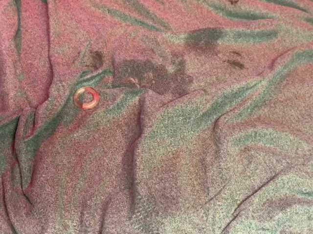 KinkyCaliCpl webcam stream