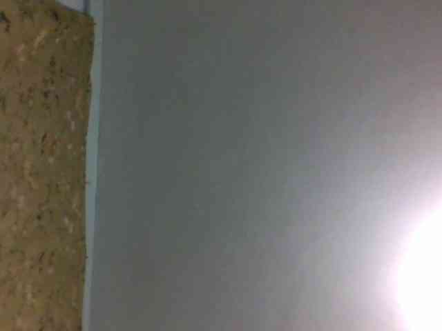 Freakylittlemissy webcam