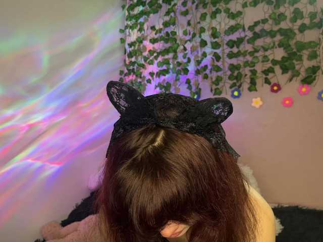 CassyVixen's BongaCams show and profile