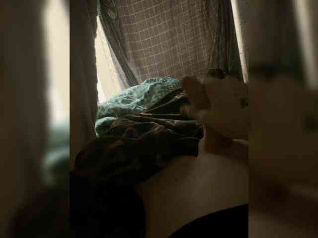 foxisslave foxisslave